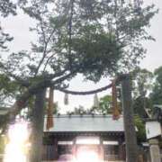 ヒメ日記 2026/07/05 15:24 投稿 けいこ 奥鉄オクテツ神奈川店（デリヘル市場グループ）