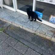 ヒメ日記 2025/12/06 22:27 投稿 しゅり ベイキュート