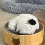 ヒメ日記 2026/01/07 23:07 投稿 しゅり ベイキュート