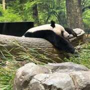 ヒメ日記 2026/01/24 22:37 投稿 しゅり ベイキュート