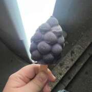 ヒメ日記 2025/12/07 17:00 投稿 かなた 錦糸町ぽちゃカワ女子専門店！我慢できないの！