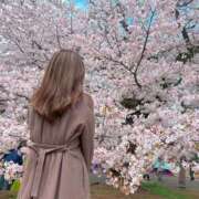 ヒメ日記 2026/06/10 18:05 投稿 さゆり セレブクエスト-Kawagoe-