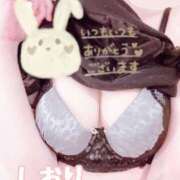 ヒメ日記 2026/01/15 02:59 投稿 しおり セレブクエスト-Kawagoe-