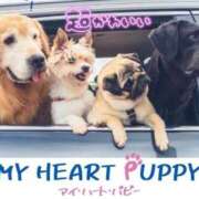 ヒメ日記 2026/01/20 19:55 投稿 りな 素人妻達☆マイふぇらレディー