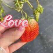 ヒメ日記 2026/02/15 16:41 投稿 りな 素人妻達☆マイふぇらレディー