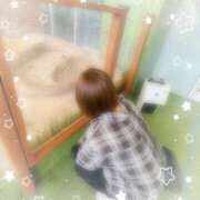 さおり 癒し?? 池袋人妻ヒットパレード（シンデレラグループ）