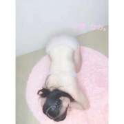 ヒメ日記 2025/12/13 13:34 投稿 【小春 なの】 梅田ムチSpa女学院