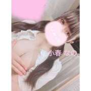 ヒメ日記 2026/05/29 12:24 投稿 【小春 なの】 梅田ムチSpa女学院