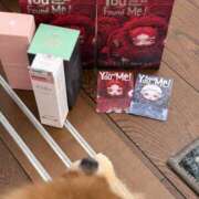 ヒメ日記 2025/11/30 13:53 投稿 ありす コレクション