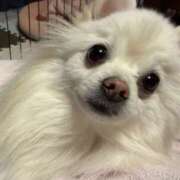 ヒメ日記 2025/12/02 06:53 投稿 ありす コレクション