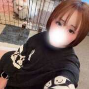 ヒメ日記 2025/12/07 15:41 投稿 ありす コレクション