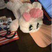 ヒメ日記 2025/12/11 07:28 投稿 ありす コレクション