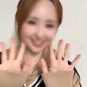 ありす 10cm コレクション