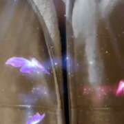 橋本　まこと 出勤してます✨ ミセスサマンサPLUS