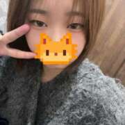 ヒメ日記 2025/11/27 08:09 投稿 あおば スピードエコ日本橋店