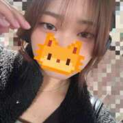 ヒメ日記 2025/11/28 09:29 投稿 あおば スピードエコ日本橋店