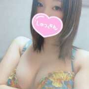 みはる ロイヤル土佐居る日だよ ロイヤル土佐