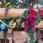 ヒメ日記 2025/12/25 12:19 投稿 はるね G-SCANDAL