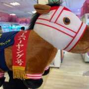 ヒメ日記 2026/01/26 13:09 投稿 はるね G-SCANDAL