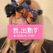 ヒメ日記 2026/02/03 13:19 投稿 はるね G-SCANDAL