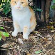 ヒメ日記 2025/11/25 07:06 投稿 ゆうき 厚木人妻城