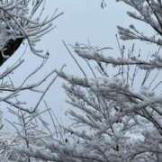 ヒメ日記 2026/02/08 06:54 投稿 ゆうき 厚木人妻城