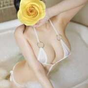 ヒメ日記 2025/12/29 20:27 投稿 しほ ごほうびSPA福岡店