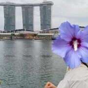 ヒメ日記 2026/03/06 12:17 投稿 しほ ごほうびSPA福岡店