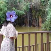 ヒメ日記 2026/03/08 12:17 投稿 しほ ごほうびSPA福岡店