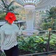 ヒメ日記 2026/03/13 19:28 投稿 しほ ごほうびSPA福岡店