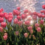 かな 出勤してます🤍 2980円