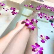 ヒメ日記 2025/11/21 14:45 投稿 ゆうみ 綺麗なお姉様専門　新横浜リング4C（アンジェリークグループ）