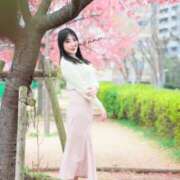 ヒメ日記 2026/03/15 01:00 投稿 小牧鈴奈 ハールブルク