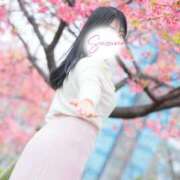 ヒメ日記 2026/04/09 18:58 投稿 小牧鈴奈 ハールブルク