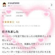 ヒメ日記 2026/06/29 15:27 投稿 小牧鈴奈 ハールブルク