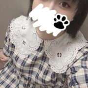 ヒメ日記 2026/04/05 14:13 投稿 かえで ぽっちゃり巨乳素人専門店ぷにめろ池袋店