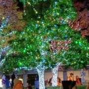 ヒメ日記 2025/11/24 20:42 投稿 あやこ 熟女の風俗最終章 西川口店