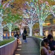 ヒメ日記 2025/12/17 04:22 投稿 あやこ 熟女の風俗最終章 西川口店