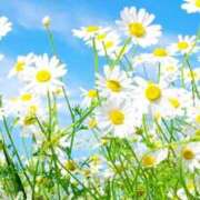 ヒメ日記 2026/01/19 05:42 投稿 あやこ 熟女の風俗最終章 西川口店