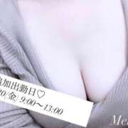 ヒメ日記 2026/02/14 06:15 投稿 三島 めい 大奥 難波店