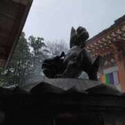 ヒメ日記 2026/01/06 08:00 投稿 まりか 奥様特急新潟店