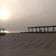 ヒメ日記 2026/01/11 07:20 投稿 まりか 奥様特急新潟店