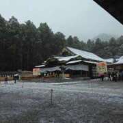 ヒメ日記 2026/03/14 16:40 投稿 まりか 奥様特急新潟店