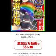 ヒメ日記 2025/11/23 20:00 投稿 あわのハルカス グッドスマイル