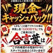 ヒメ日記 2026/06/18 11:15 投稿 あわのハルカス グッドスマイル