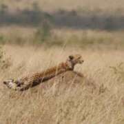 ヒメ日記 2025/11/28 13:01 投稿 ななち ムーランルージュ