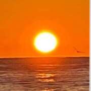 ヒメ日記 2026/01/01 09:05 投稿 ゆう 奥鉄オクテツ東京店（デリヘル市場）