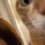 ヒメ日記 2026/03/10 08:17 投稿 菱川(ひしかわ) 人妻出逢い会 百合の園 山の手本店