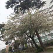 ヒメ日記 2026/04/07 15:25 投稿 小西（こにし） 熟女の風俗最終章 大宮店