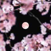 ヒメ日記 2026/04/30 06:55 投稿 あむ あふたーすくーる本店